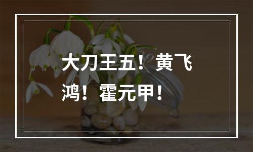 大刀王五！黄飞鸿！霍元甲！