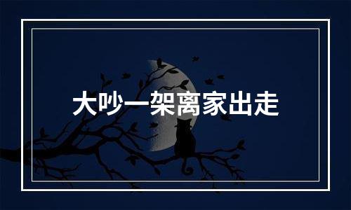 大吵一架离家出走