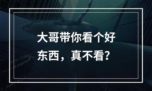 大哥带你看个好东西，真不看？