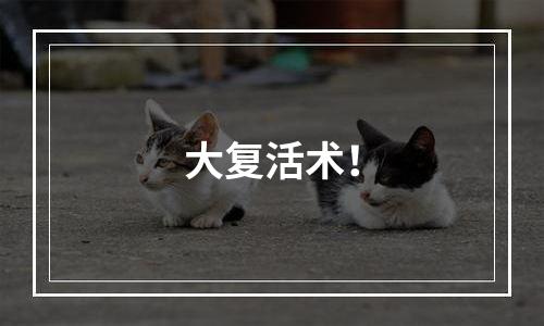 大复活术！