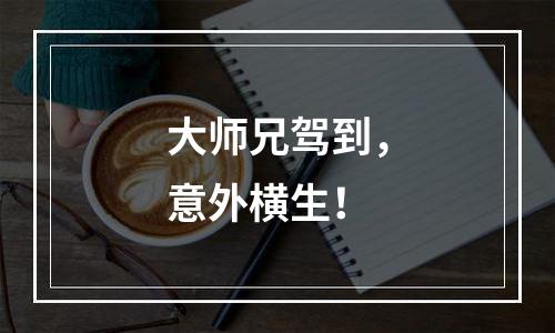 大师兄驾到，意外横生！