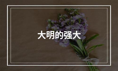 大明的强大
