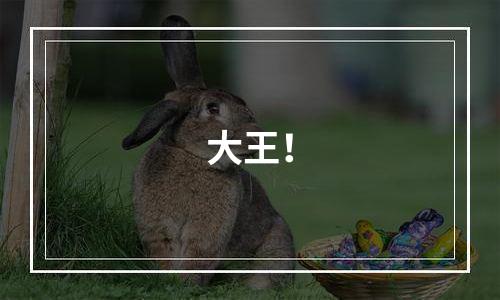 大王！