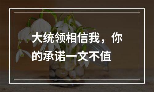 大统领相信我，你的承诺一文不值