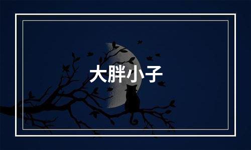 大胖小子