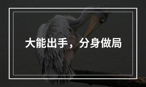 大能出手，分身做局