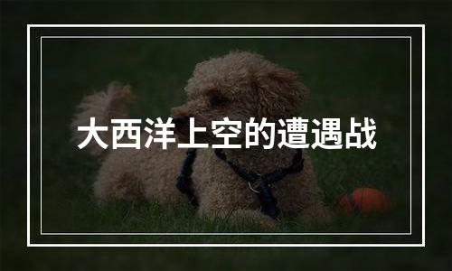 大西洋上空的遭遇战