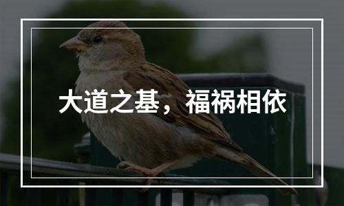 大道之基，福祸相依