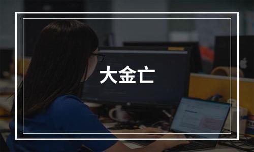 大金亡