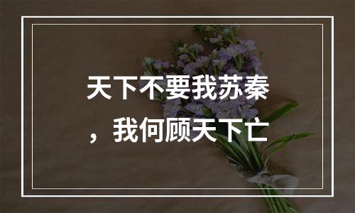 天下不要我苏秦，我何顾天下亡