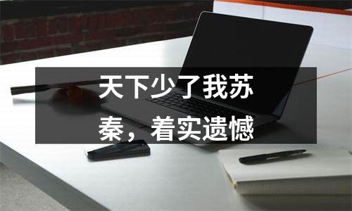 天下少了我苏秦，着实遗憾