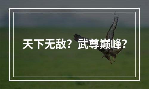 天下无敌？武尊巅峰？