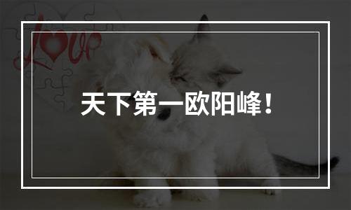 天下第一欧阳峰！