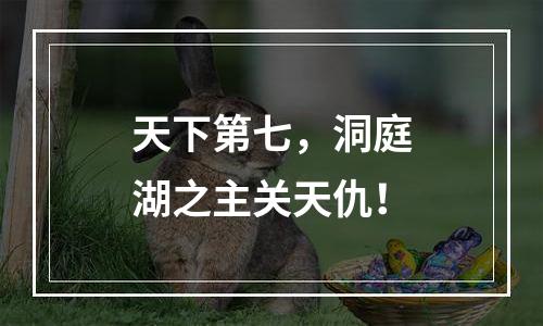 天下第七，洞庭湖之主关天仇！