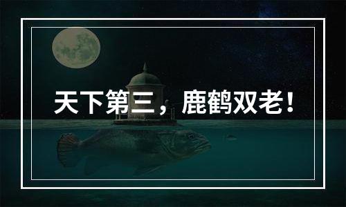 天下第三，鹿鹤双老！