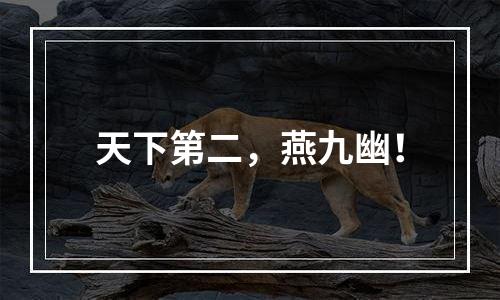 天下第二，燕九幽！