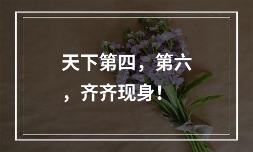 天下第四，第六，齐齐现身！