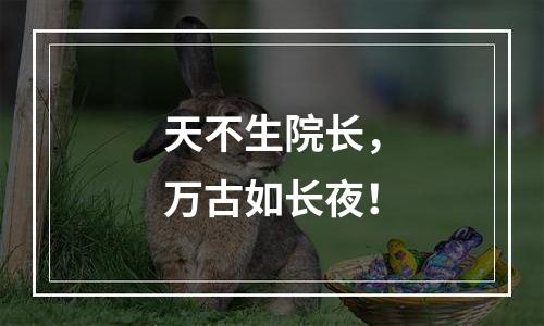 天不生院长，万古如长夜！