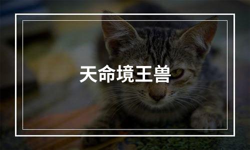 天命境王兽