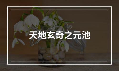 天地玄奇之元池