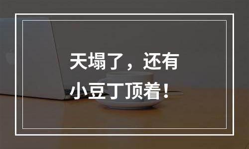 天塌了，还有小豆丁顶着！