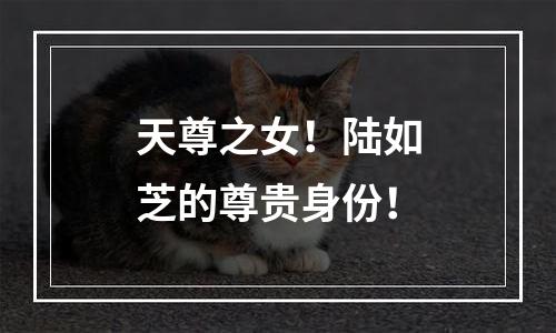 天尊之女！陆如芝的尊贵身份！