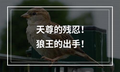 天尊的残忍！狼王的出手！