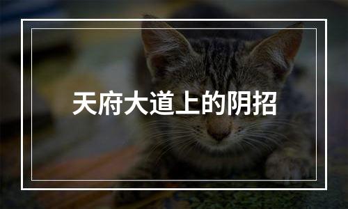天府大道上的阴招