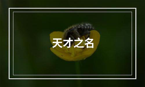 天才之名