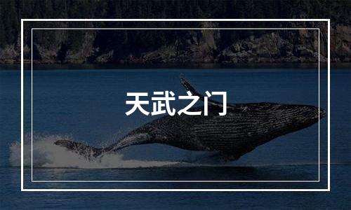 天武之门
