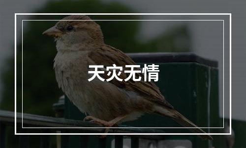天灾无情