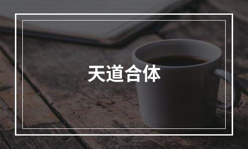 天道合体