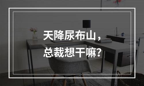 天降尿布山，总裁想干嘛？