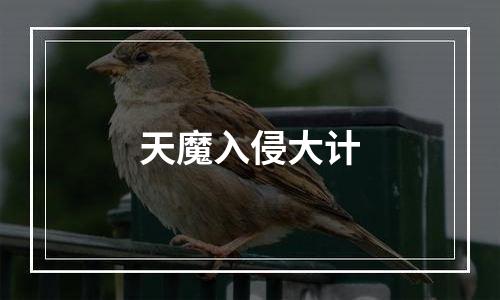 天魔入侵大计