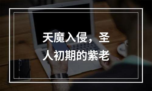 天魔入侵，圣人初期的紫老