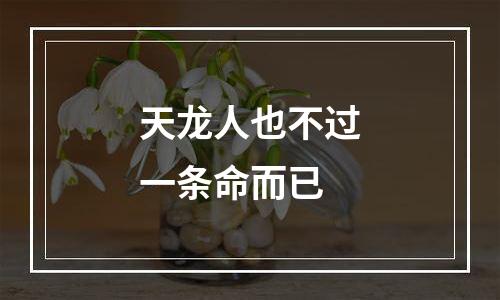 天龙人也不过一条命而已