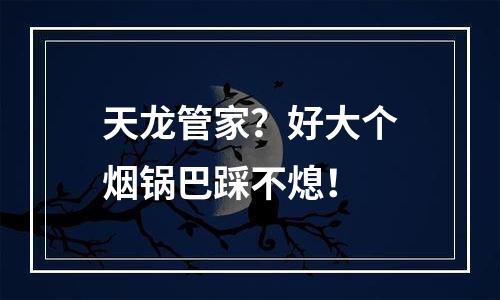 天龙管家？好大个烟锅巴踩不熄！