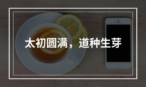太初圆满，道种生芽