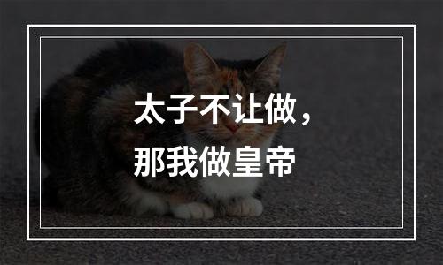 太子不让做，那我做皇帝