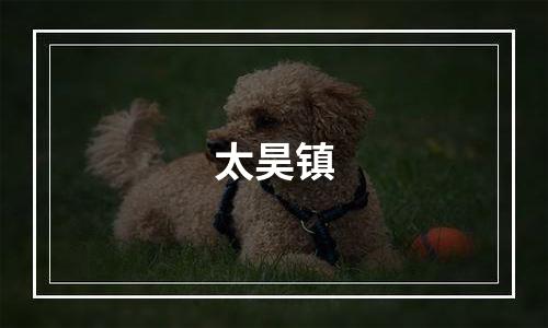 太昊镇