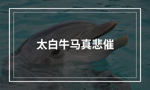 太白牛马真悲催