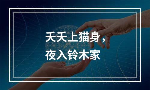 夭夭上猫身，夜入铃木家