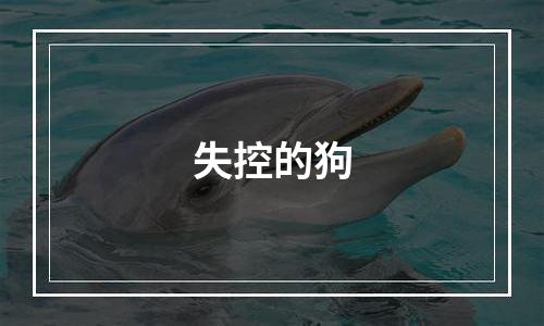 失控的狗