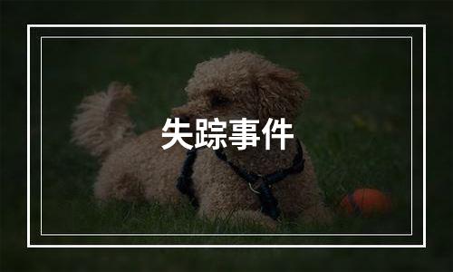 失踪事件
