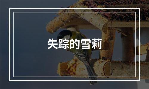失踪的雪莉