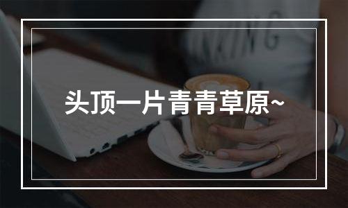 头顶一片青青草原~