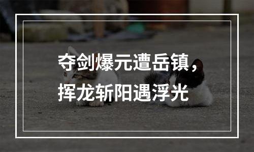 夺剑爆元遭岳镇，挥龙斩阳遇浮光