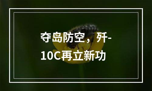 夺岛防空，歼-10C再立新功