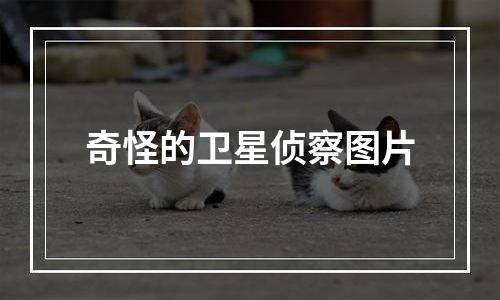 奇怪的卫星侦察图片