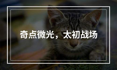 奇点微光，太初战场